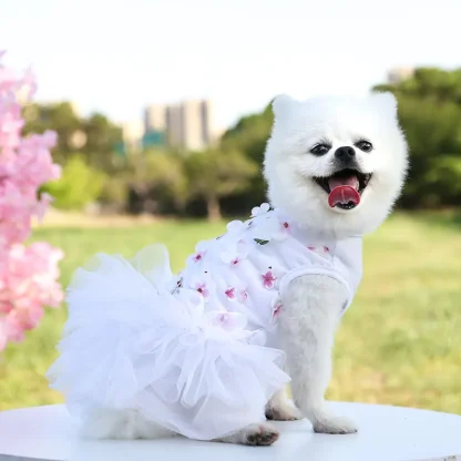 Cute Tutu Floral Dress For Small Pets - Image 5