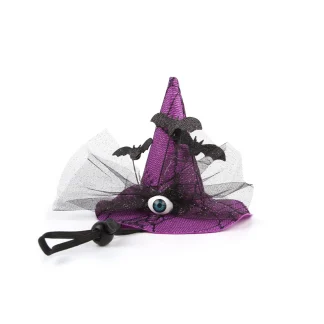 Pet Accessories