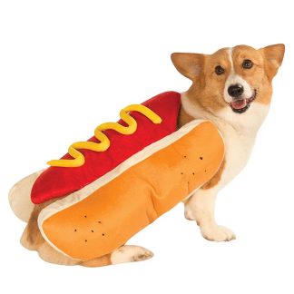 Funny Dog