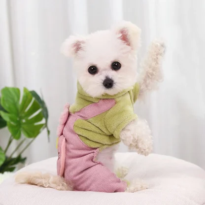 Pet Clothes with Cute Floral and Heart Shape - Image 2