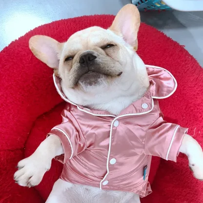 Shiny Luxury Pajama for Small Pets - Image 11