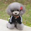 Striped Hooded Track Suit for Pets - Image 5