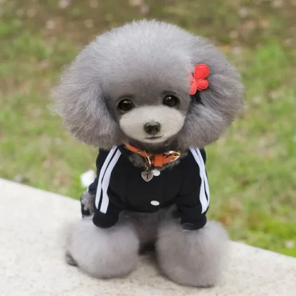 Striped Hooded Track Suit for Pets - Image 5
