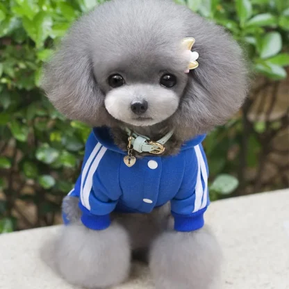 Striped Hooded Track Suit for Pets - Image 3