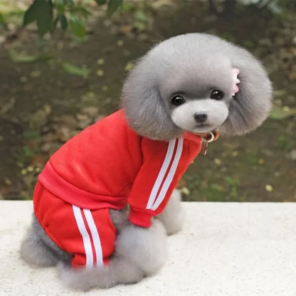 Striped Hooded Track Suit for Pets