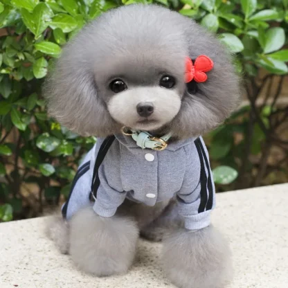Striped Hooded Track Suit for Pets - Image 7