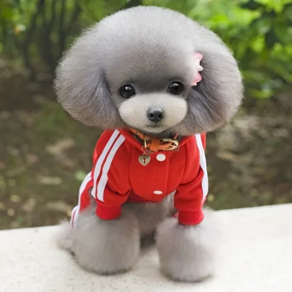 Striped Hooded Track Suit for Pets - Image 2