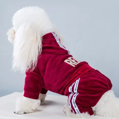 Luxury Pet Jumpsuit with Hoodie - Image 4