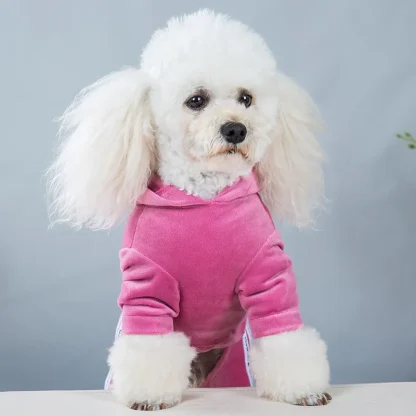 Luxury Pet Jumpsuit with Hoodie - Image 2