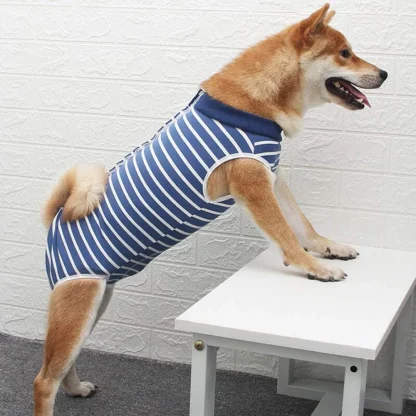 Striped Pattern Four Legs Clothes - Image 4
