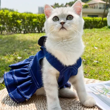 Denim Ruffle Dress with Bow Design - Image 3