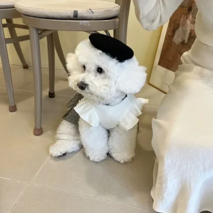 Fancy Elegant Clothes with Bow for Pets - Image 6