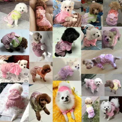 Pet Clothes with Cute Floral and Heart Shape - Image 14