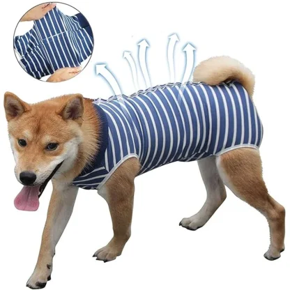 Camo Print Pet Clothes with Snap Button - Image 5