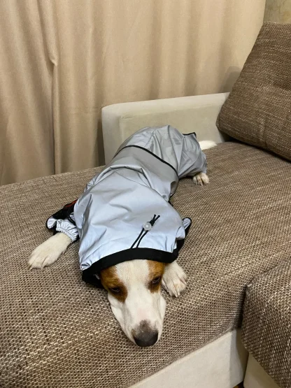 Reflective Jumpsuit with Waterproof Design - Image 5