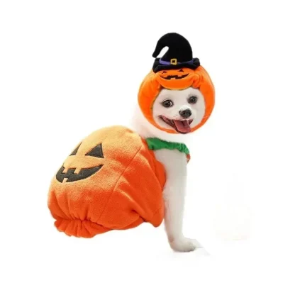 Pumpkin Lantern Clothes for Pets - Image 6
