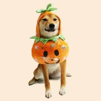 Halloween Pumpkin Costume for Pets