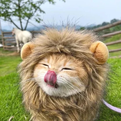 Funny Lion Faux Fur Headpiece for Pets - Image 12