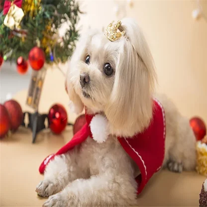 Cute Christmas Cloak Costume with Hood - Image 4