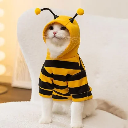 Bee Funny Costume for Halloween