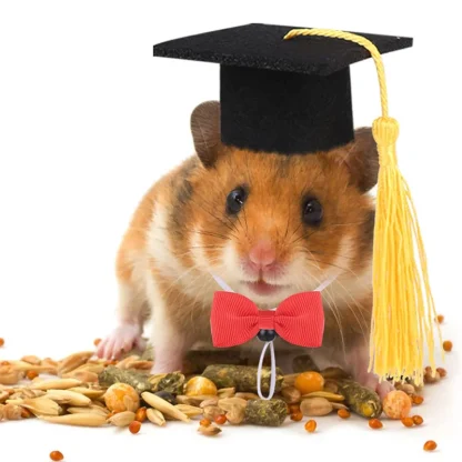 Pet Mini Bachelor Hat with Tassel - Image 4