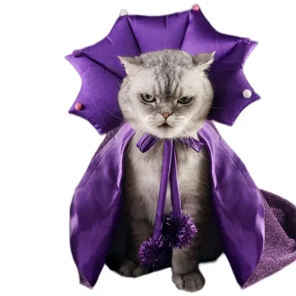 Witch Cloak Pet Halloween Costume