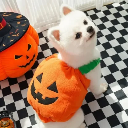 Pumpkin Lantern Clothes for Pets - Image 5
