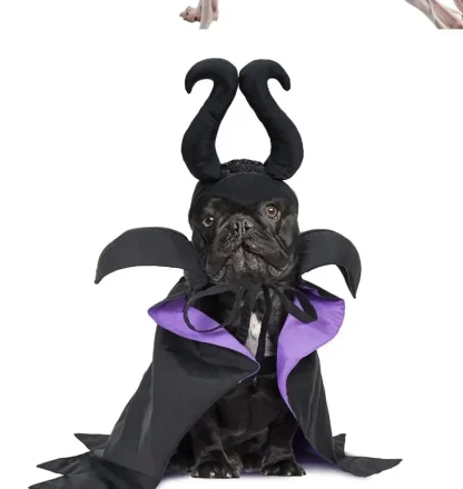Funny Witch Outfit with Horn Headpiece - Image 5