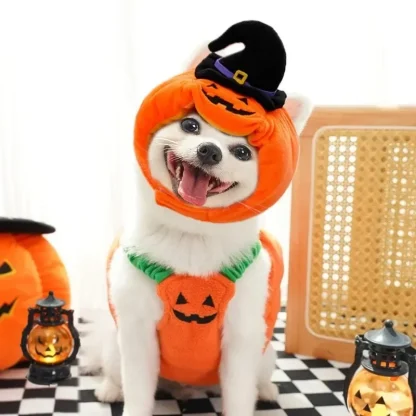Pumpkin Lantern Clothes for Pets - Image 4