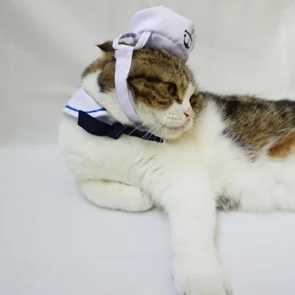 Adorable Sailor Pet Costume with Hat - Image 2