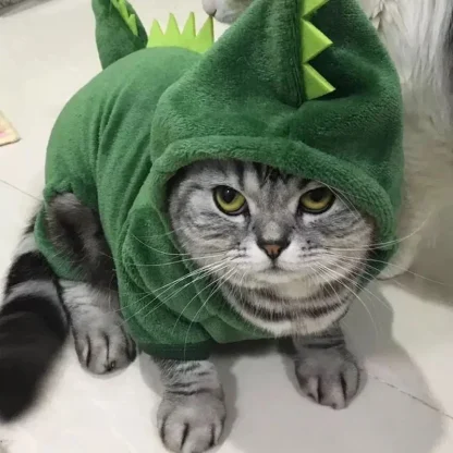 Warm Dinosaur Costume with Hood - Image 3