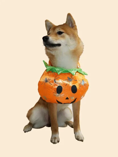 Halloween Pumpkin Costume for Pets - Image 4