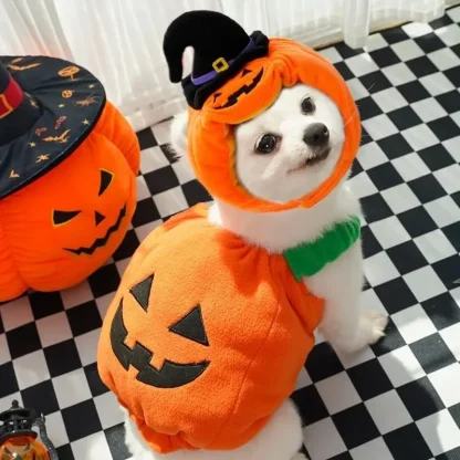 Pumpkin Lantern Clothes for Pets - Image 2