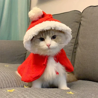 Hooded Cloak Christmas Pet Costume - Image 9
