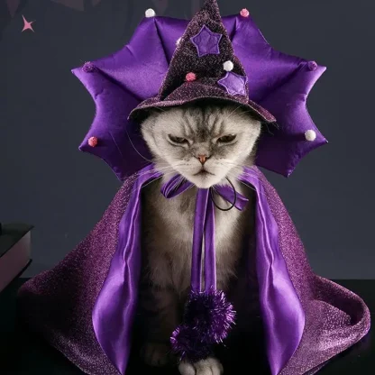 Witch Cloak Pet Halloween Costume - Image 5