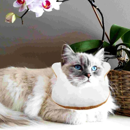 Bread Shape Funny Headdress for Pets - Image 6