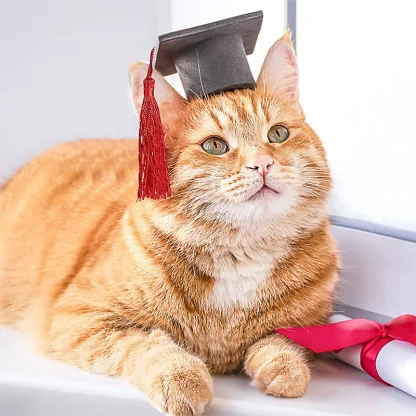 Pet Mini Bachelor Hat with Tassel