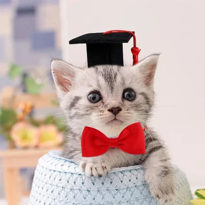 Pet Mini Bachelor Hat with Tassel - Image 2