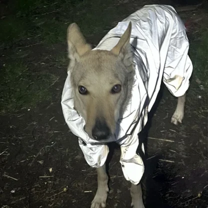 Reflective Jumpsuit with Waterproof Design - Image 7