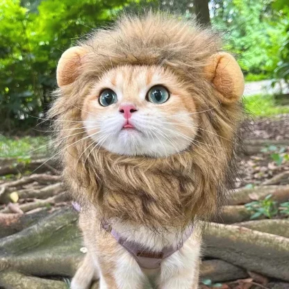 Funny Lion Faux Fur Headpiece for Pets - Image 6