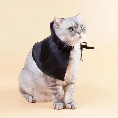 Adorable Witch Cape Pet Costume - Image 5