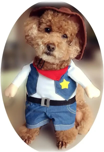 Funny Pet Cowboy Outfit with Hat - Image 6