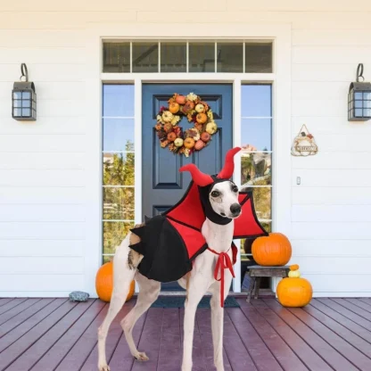 Spooky Pet Vampire Cloak for Halloween - Image 5
