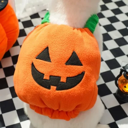 Pumpkin Lantern Clothes for Pets - Image 7