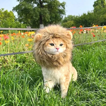 Funny Lion Faux Fur Headpiece for Pets - Image 9