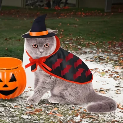 Cloak for Pets with Halloween Pumpkin Print - Image 8