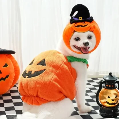Pumpkin Lantern Clothes for Pets - Image 3