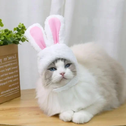Cute Bunny Ears Headpiece for Pets - Image 5