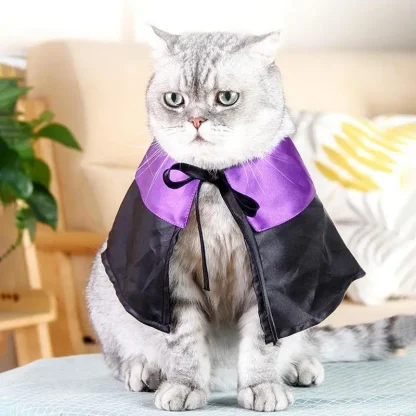 Adorable Witch Cape Pet Costume - Image 2