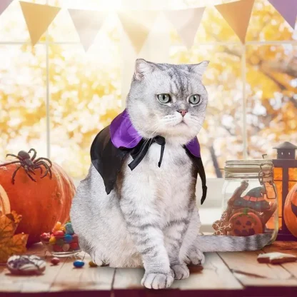 Adorable Witch Cape Pet Costume - Image 3